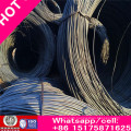 Bwg8 ~ 23 # Bwg 14 Electric Galvanized Wire/Electric Gi Wire/Electrical Cables